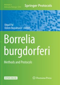 Borrelia burgdorferi