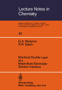 Electrical Double Layer at a Metal-dilute Electrolyte Solution Interface