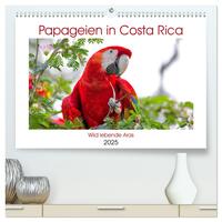 Papageien in Costa Rica (hochwertiger Premium Wandkalender 2025 DIN A2 quer), Kunstdruck in Hochglanz