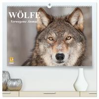 Wölfe. Verwegene Anmut (hochwertiger Premium Wandkalender 2025 DIN A2 quer), Kunstdruck in Hochglanz