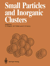 Small Particles and Inorganic Clusters