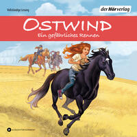 Ostwind - Ein gefährliches Rennen