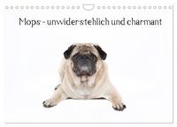 Mops - unwiderstehlich und charmant (Wandkalender 2025 DIN A4 quer), CALVENDO Monatskalender