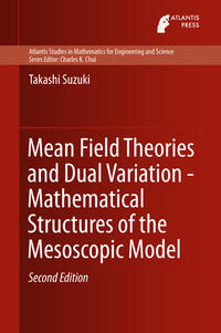 Mean Field Theories and Dual Variation - Mathematical Structures of the Mesoscopic Model