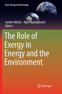 The Role of Exergy in Energy and the Environment