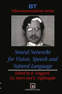 Neural Networks for Vision, Speech and Natural Language