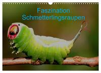 Faszination Schmetterlingsraupen (Wandkalender 2025 DIN A3 quer), CALVENDO Monatskalender