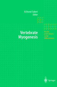 Vertebrate Myogenesis