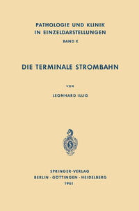 Die Terminale Strombahn