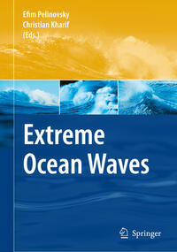 Extreme Ocean Waves