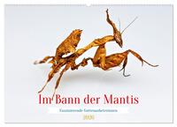 Im Bann der Mantis (Wandkalender 2026 DIN A2 quer), CALVENDO Monatskalender