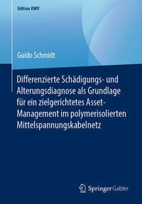 Differenzierte Schädigungs- und Alterungsdiagnose als Grundlage für ein zielgerichtetes Asset-Management im polymerisolierten Mittelspannungskabelnetz