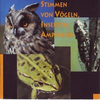 Stimmen von Vögeln, Insekten, Amphibien