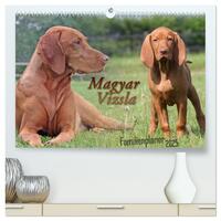 Familienplaner - Magyar Vizsla (hochwertiger Premium Wandkalender 2025 DIN A2 quer), Kunstdruck in Hochglanz