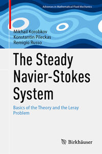 The Steady Navier-Stokes System