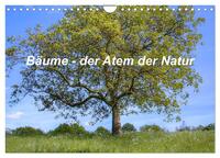 Bäume, der Atem der Natur (Wandkalender 2025 DIN A4 quer), CALVENDO Monatskalender