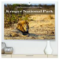 Faszinierende Tierwelt des Kruger National Parks (hochwertiger Premium Wandkalender 2025 DIN A2 quer), Kunstdruck in Hochglanz