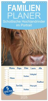 Familienplaner 2025 - Schottische Hochlandrinder - Highland Cattle im Portrait mit 5 Spalten (Wandkalender, 21 x 45 cm) CALVENDO