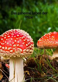 Das geheime Leben der Pilze