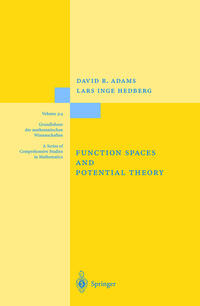 Function Spaces and Potential Theory