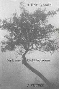 Der Baum blüht trotzdem