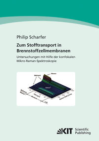 Zum Stofftransport in Brennstoffzellenmembranen