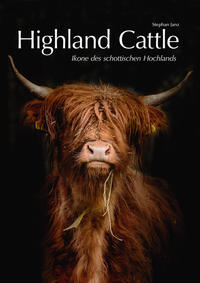 Highland Cattle