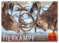 Tierkampf - Rivalen vertreiben (Wandkalender 2025 DIN A4 quer), CALVENDO Monatskalender