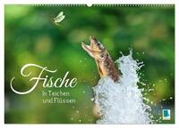 Fische in Teichen und Flüssen (Wandkalender 2025 DIN A2 quer), CALVENDO Monatskalender