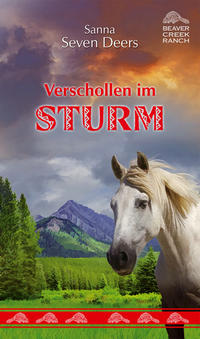 Verschollen im Sturm