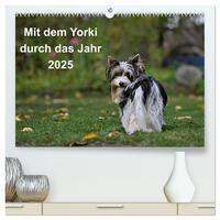 Mit dem Yorki durch das Jahr 2025 (hochwertiger Premium Wandkalender 2025 DIN A2 quer), Kunstdruck in Hochglanz