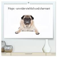 Mops - unwiderstehlich und charmant (hochwertiger Premium Wandkalender 2025 DIN A2 quer), Kunstdruck in Hochglanz