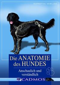 Die Anatomie des Hundes