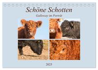 Schöne Schotten - Galloway im Porträt (Tischkalender 2025 DIN A5 quer), CALVENDO Monatskalender