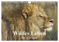 Wildes Leben in Afrika (Wandkalender 2025 DIN A4 quer), CALVENDO Monatskalender