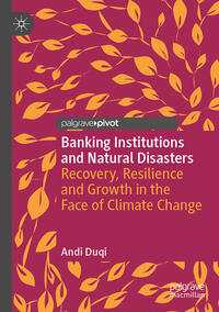 Banking Institutions and Natural Disasters