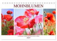 Mohnblumen. Leuchtender Liebreiz auf Wiesen und in Gärten (Tischkalender 2025 DIN A5 quer), CALVENDO Monatskalender