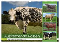 Aussterbende Rassen und Raritäten (Wandkalender 2025 DIN A2 quer), CALVENDO Monatskalender