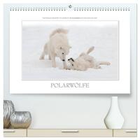 Emotionale Momente: Polarwölfe. / CH-Version (hochwertiger Premium Wandkalender 2025 DIN A2 quer), Kunstdruck in Hochglanz