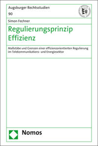 Regulierungsprinzip Effizienz