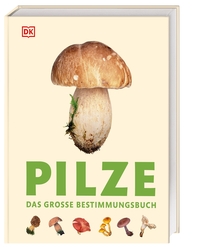 Pilze