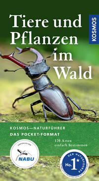 Tiere und Pflanzen im Wald