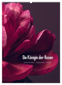 Die Königin der Rosen (Wandkalender 2025 DIN A2 hoch), CALVENDO Monatskalender