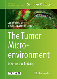 The Tumor Microenvironment