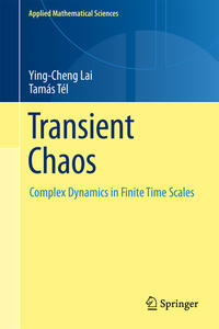 Transient Chaos