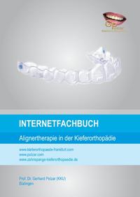 Internetfachbuch