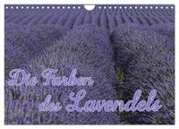 Die Farbe des Lavendels (Wandkalender 2025 DIN A4 quer), CALVENDO Monatskalender