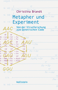 Metapher und Experiment