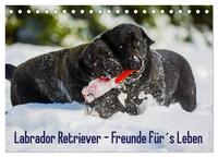 Labrador Retriever - Freunde für´s Leben (Tischkalender 2025 DIN A5 quer), CALVENDO Monatskalender