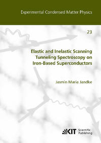 Elastic and Inelastic Scanning Tunneling Spectroscopy on Iron-Based Superconductors